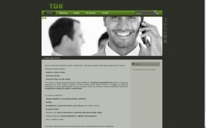 TDH usługi marketingowe – pozycjonowanie SEO