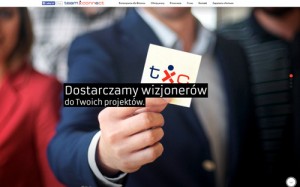 TeamConnect.pl – Outsourcing IT