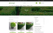 Rośliny na żywopłot – Sprzedaż internetowa